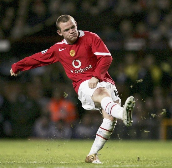 和顽强的精 和顽强的精